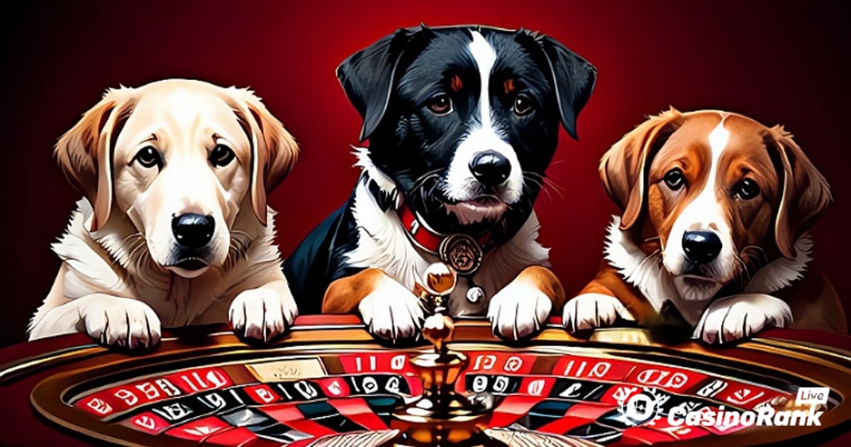 Casino-X'te Haftalık Rulet Turnuvasına Katılın ve Ödeme Kazanın