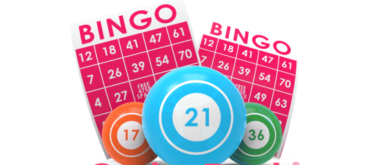 Bingo Hakkında Bilmediğiniz 10 İlginç Gerçek