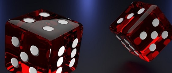 Şimdi Oynayın ve Ditobet'te Haftalık %5 Canlı Casino Geri Ödemenizi Alın